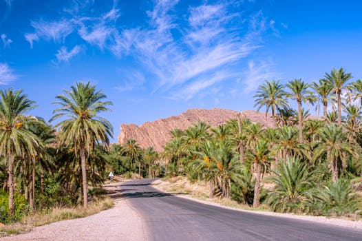 Hotels Built Beside Oasis Date Palm Forests