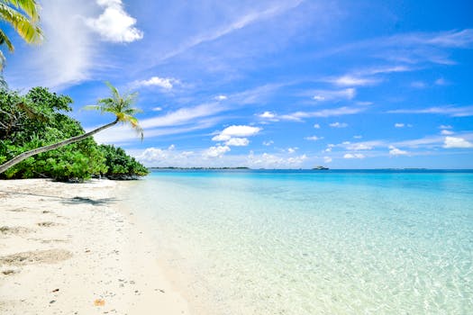 Hotels Built on Secret Coral Lagoons