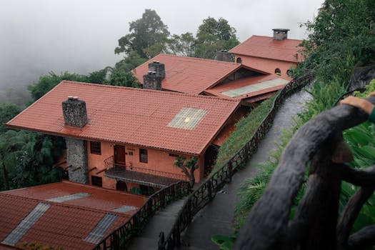 Hotels Built on Tree Tops With Jungle Views