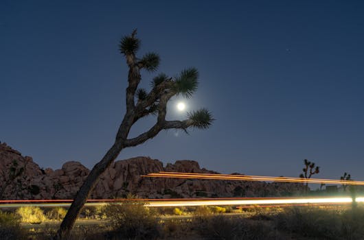 Hotels Surrounded by Desert Moonlight Views