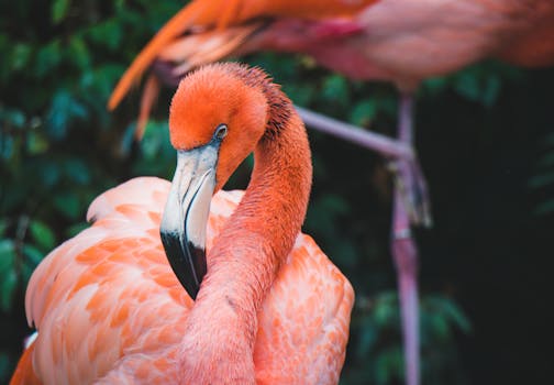 Hotels Surrounded by Exotic Bird Sanctuaries