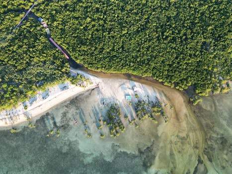Hotels Surrounded by Mangrove Blue Bays