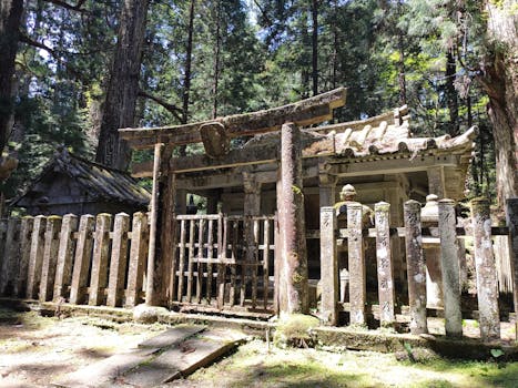Hotels Surrounded by Sacred Bamboo Forests