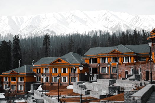 Hotels That Provide Seal-Spotting Winter Suites