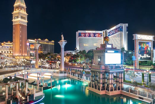 Hotels That Specialize in Night Safari Experiences