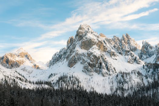 Hotels With Firelit Lounges in Snowy Wilderness