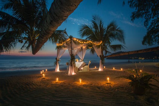 Hotels With Tree Canopy Dining Experiences