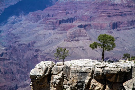 Resorts Facing the Grand Canyon Rim