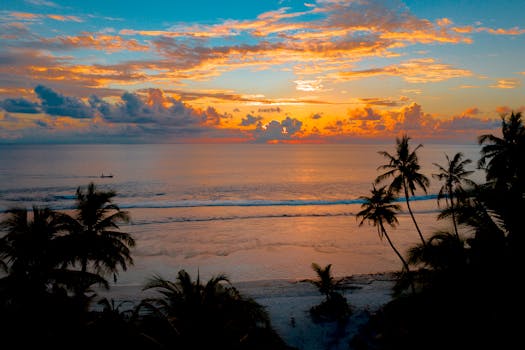 Resorts Hosting Sunset Bonfires on the Beach