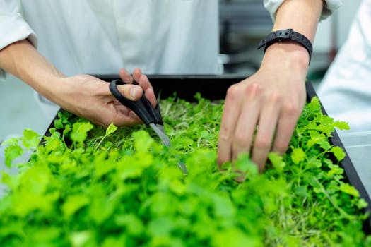 Resorts Offering Guests Organic Farming Experiences