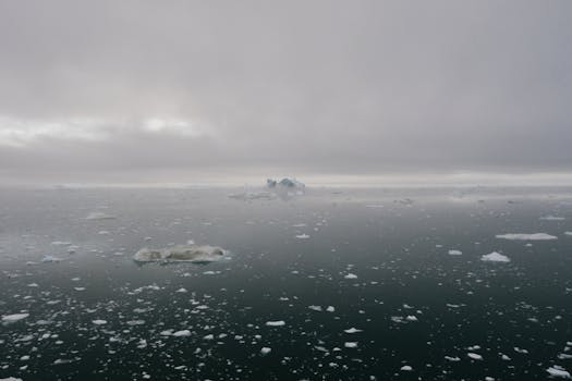 Resorts Surrounded by Arctic Silence