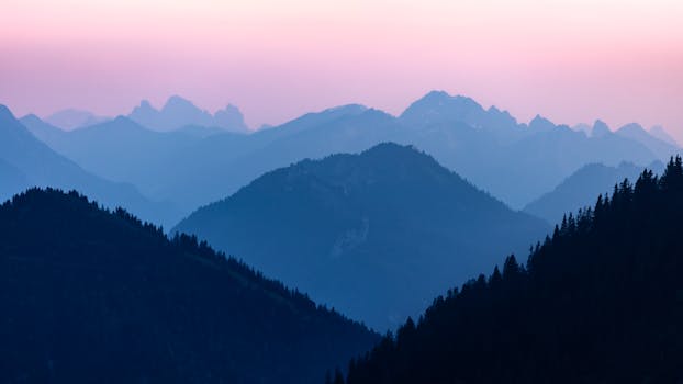 Resorts Surrounded by Eternal Snow Forests
