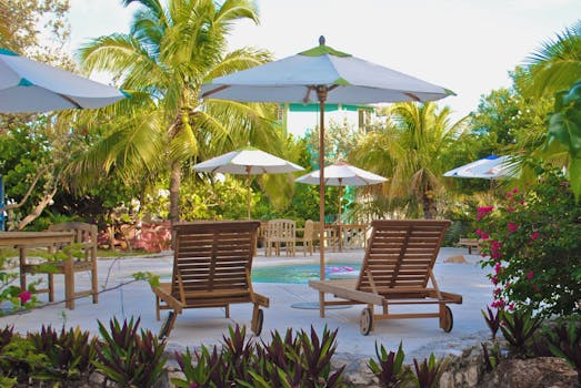 Resorts Surrounded by Palm Oasis Gardens