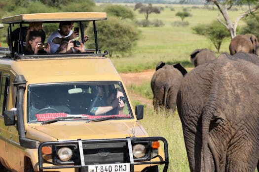 Resorts That Include Wildlife Photographers for Guests