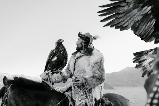 Resorts That Offer Desert Falconry Shows