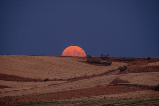 Resorts That Offer Full Moon Dinners on the Sand