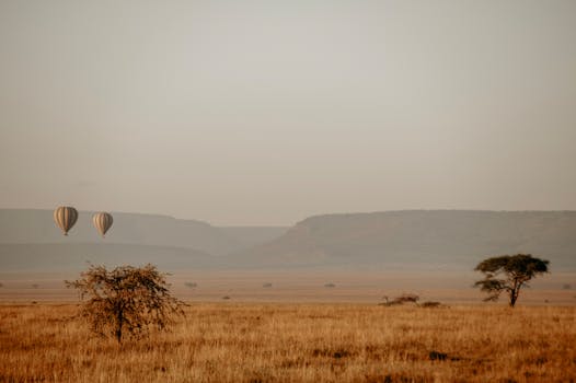 Resorts That Offer Hot Air Balloon Safaris at Dawn