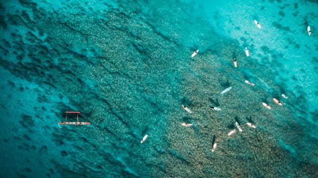 Resorts With Coral Reef Regeneration Programs