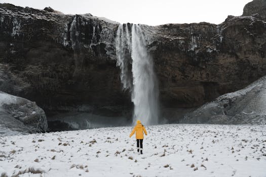 Resorts With Exclusive Arctic Explorer Guides