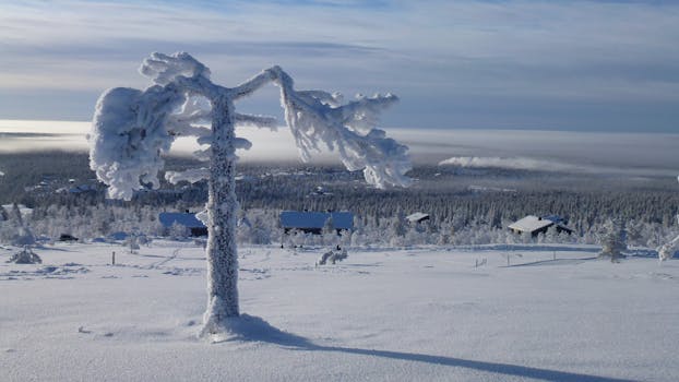 Resorts With Ski-In, Ski-Out Arctic Cabins