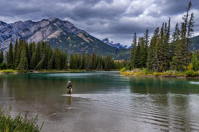 Best Things to Do in Banff National Park for Nature Experience