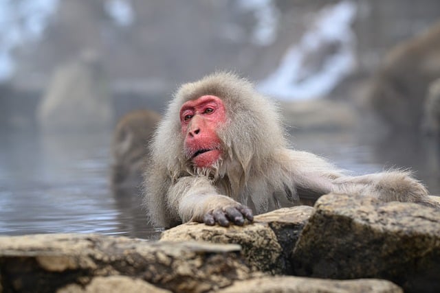 Best Things to Do in Hakone Gora for Relax and Onsen