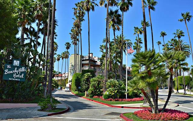 Budget Hotels in Koreatown Los Angeles Near Food Spots and Metro