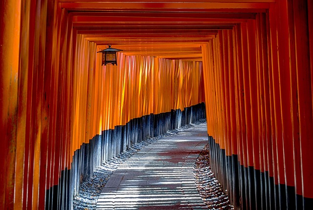 Budget Hotels in Kyoto Fushimi Near Shrine Area