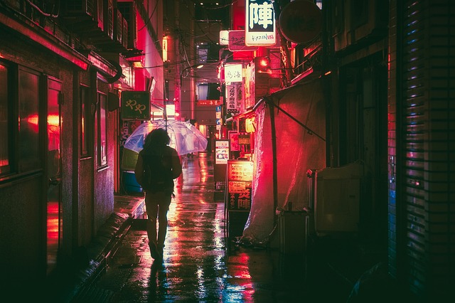 Budget Hotels in Osaka Nipponbashi Near Anime Street