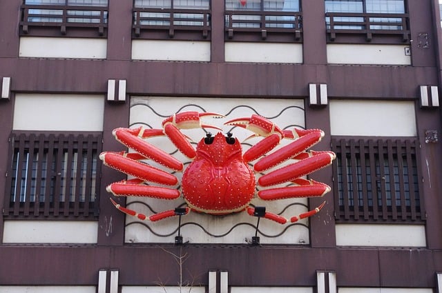 Budget Hotels in Sapporo Susukino Side Streets