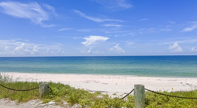 Comfortable Resorts in Sarasota Florida With Coastal Experience