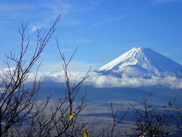 Comfortable Villas in Hakone