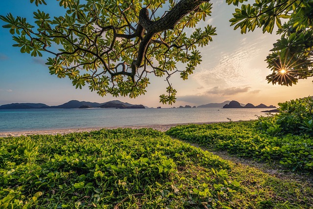 Comfortable Villas in Okinawa With Easy Access
