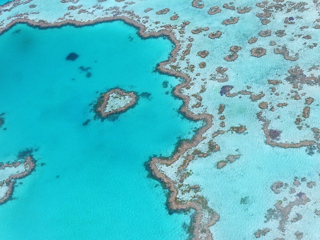 Hidden Gems in Belize Barrier Reef