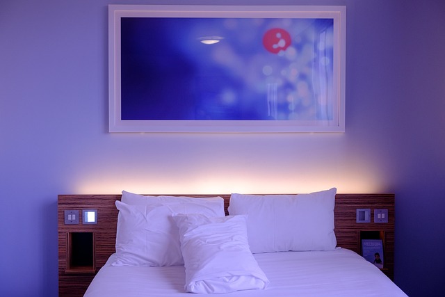 Luxury Hotels in Miami Design District Near Art Galleries and Shops