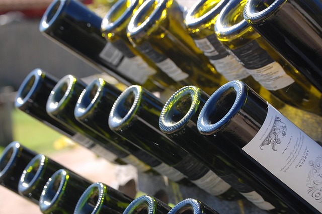 Luxury Resorts in Mendoza Wine Region With Vineyard Experience