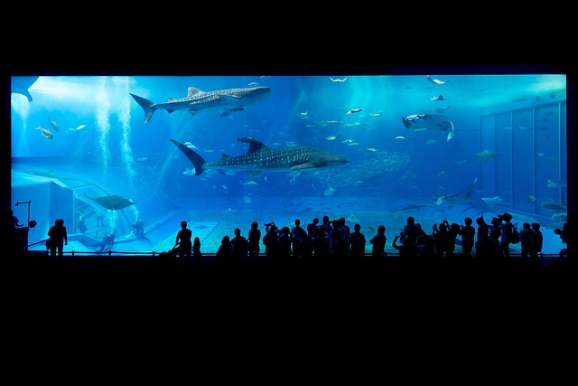 Luxury Resorts in Okinawa Motobu Near Aquarium With Ocean Views