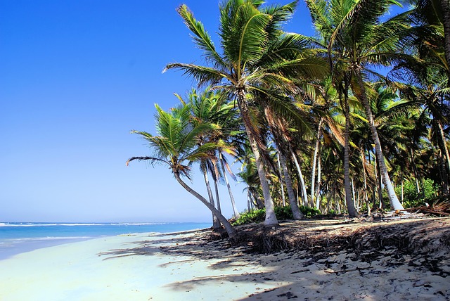 Luxury Resorts in Punta Cana Bavaro Beach With All Inclusive