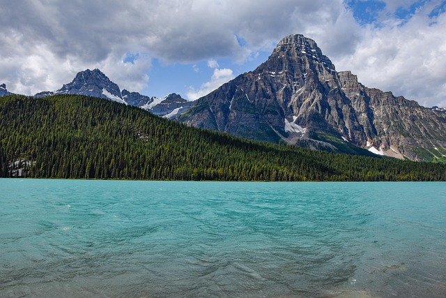 Luxury Villas in Banff With Nature and Forest Surroundings