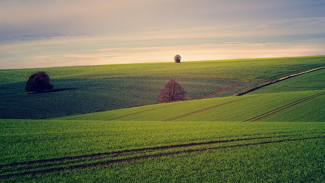 Premium Resorts in Biei With Rolling Hills and Scenic Landscapes