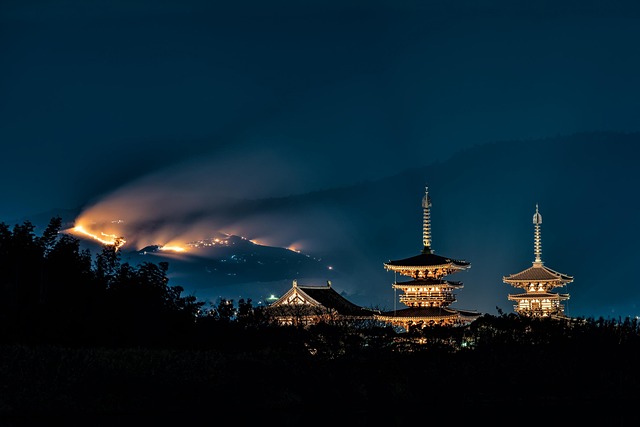 Quiet Hotels in Nara Wakakusa Area