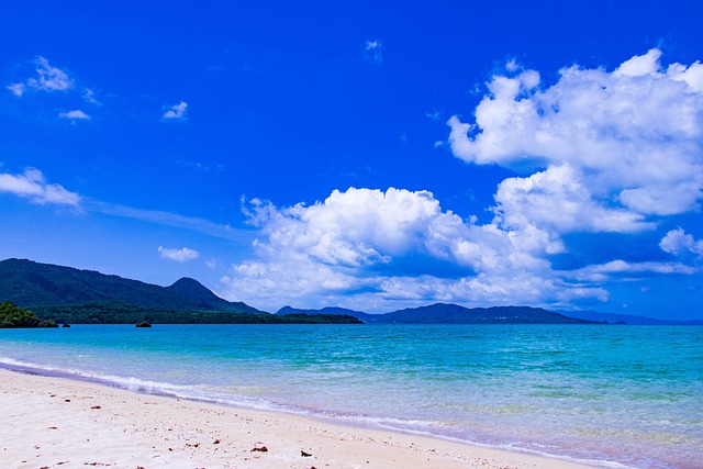 Relax Hotels in Okinawa Ishigaki Downtown Near Port Area