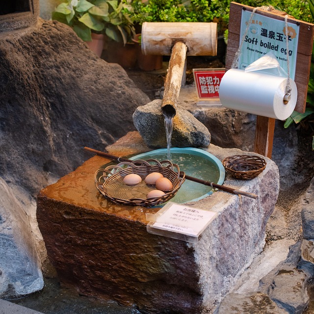 Relax Resorts in Nozawa Onsen With Traditional Village Feel