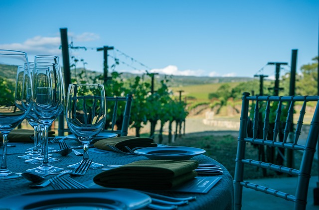 Scenic Villas in Napa Valley With Wine Country Views