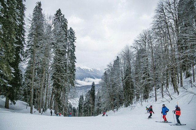 Ski Resorts in America With Winter Activities